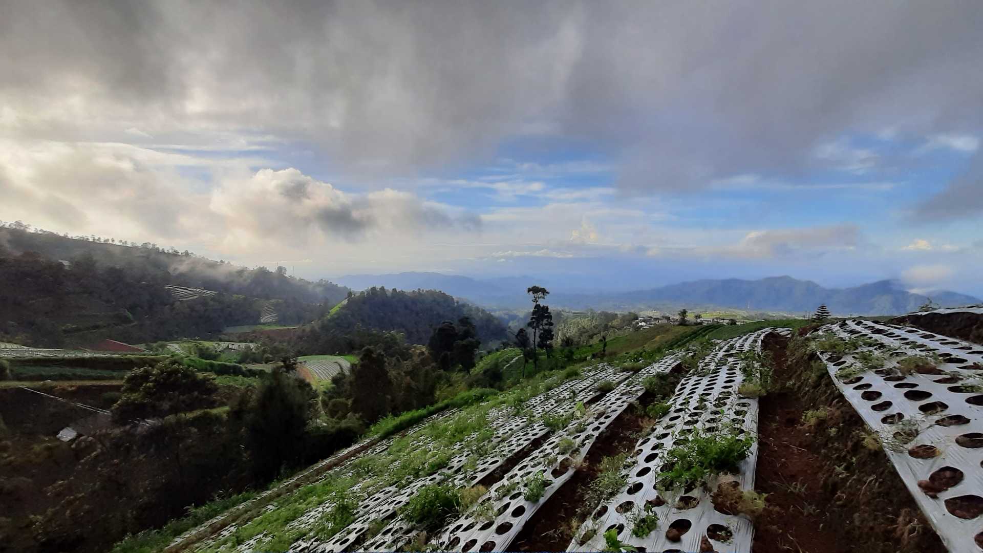 Ride on 20200928 Jogjambutuhmanglijogja